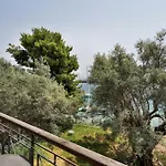 Diamerisma 2ari B