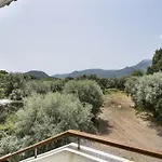 Diamerisma 2ari B *